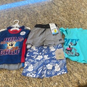 Boys Size 2T Bundle - Hurley, Billabong, Looney Toons, and Maximus Rex -NWT